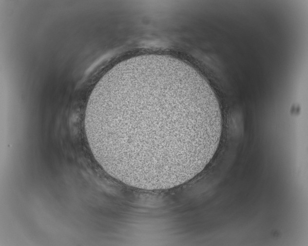 X0000111781254200909031125