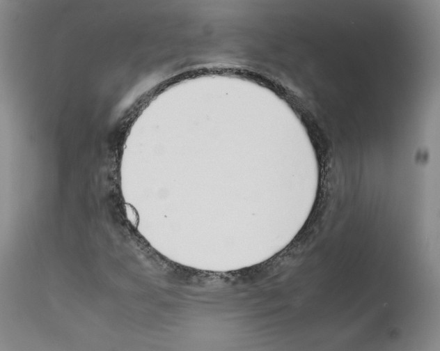 X0000111781255200909031125