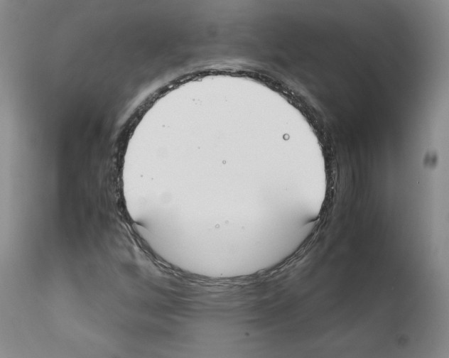 X0000111781256200909031125