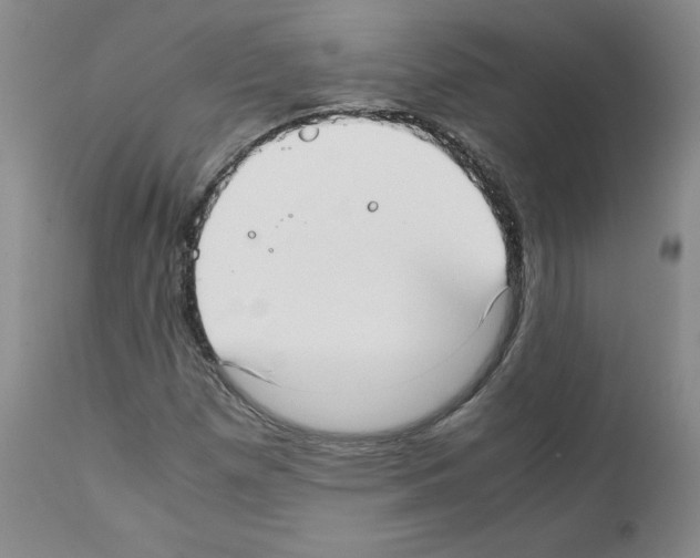 X0000111781257200909031125