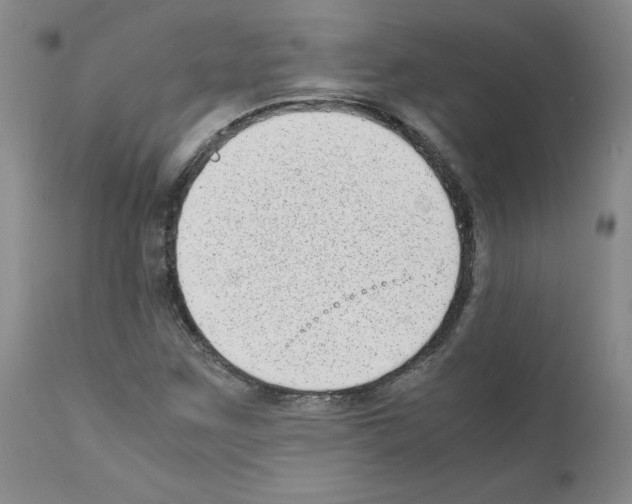 X0000111781259200909031125