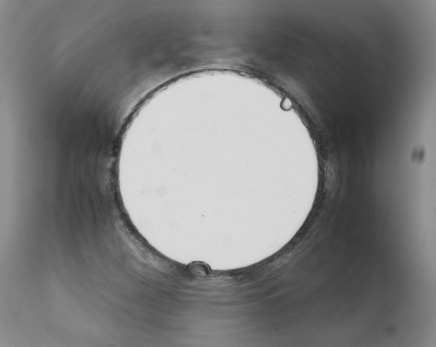 X0000111781260200909031125