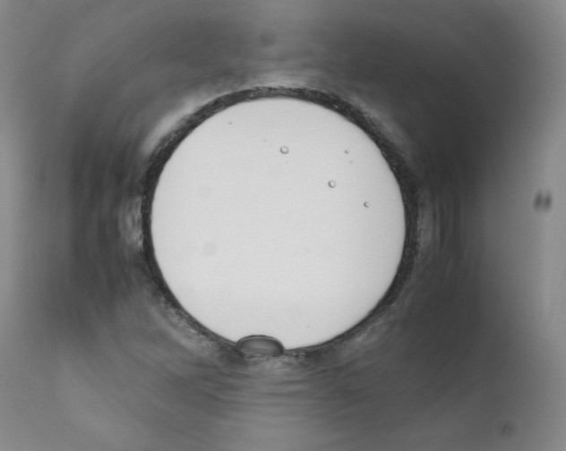 X0000111781262200909031125