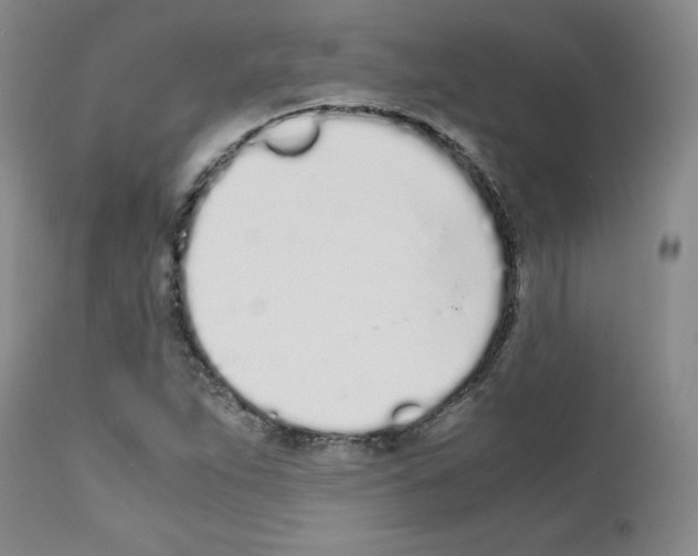X0000111781263200909031125