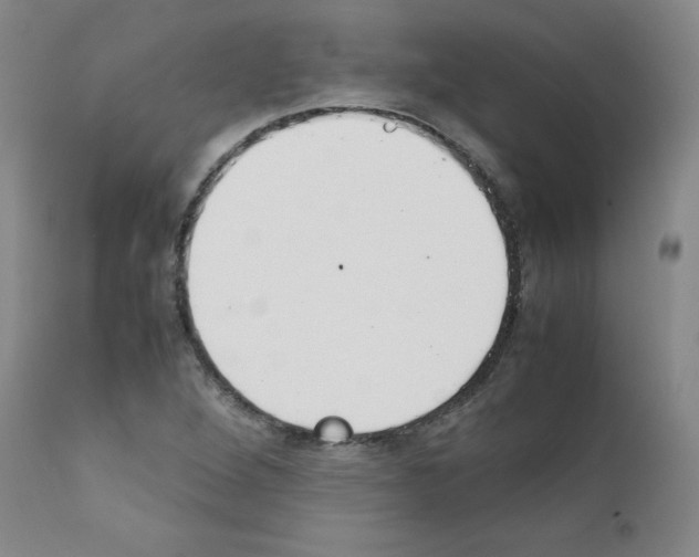 X0000111781264200909031125