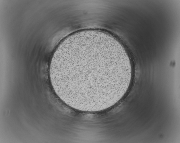 X0000111781265200909031124