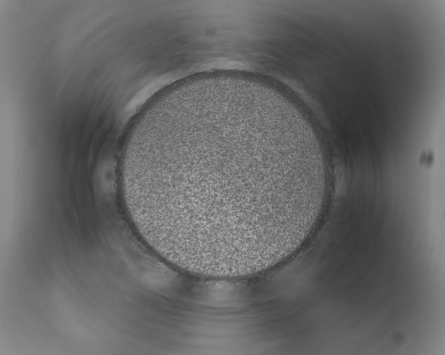 X0000111781266200909031124