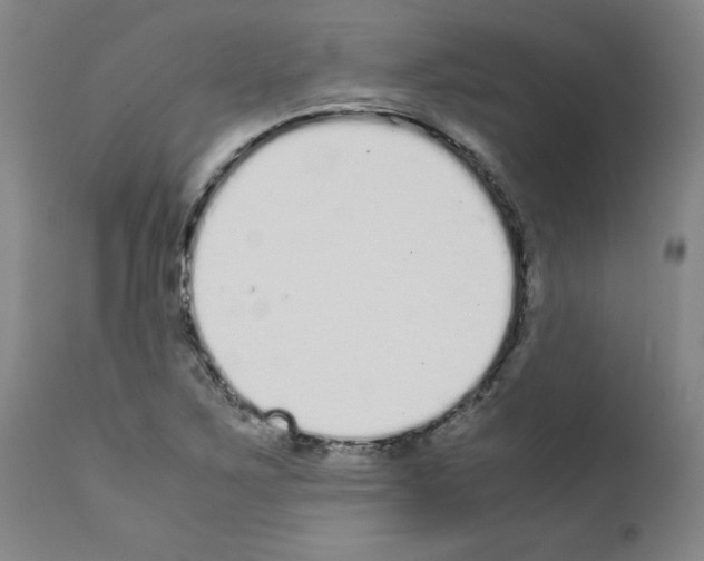 X0000111781267200909031124