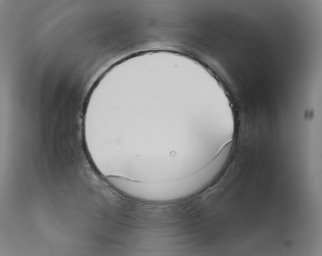 X0000111781268200909031124