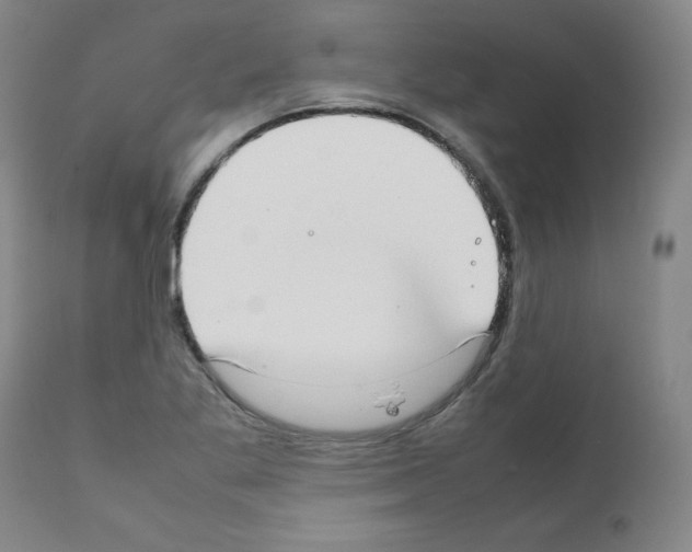X0000111781269200909031124