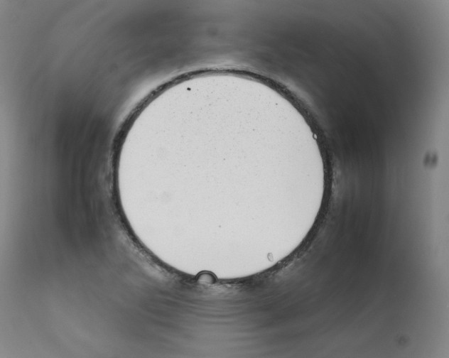 X0000111781270200909031124