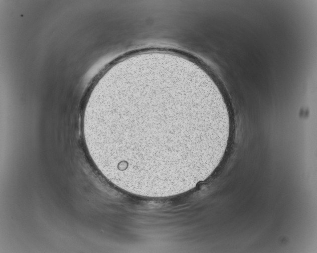 X0000111781271200909031124