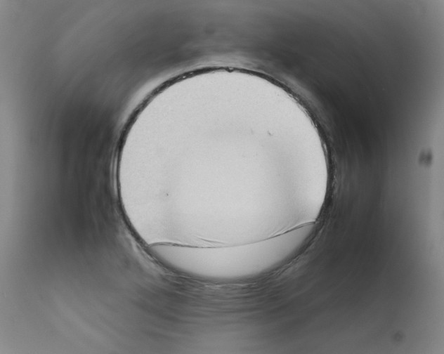 X0000111781272200909031124