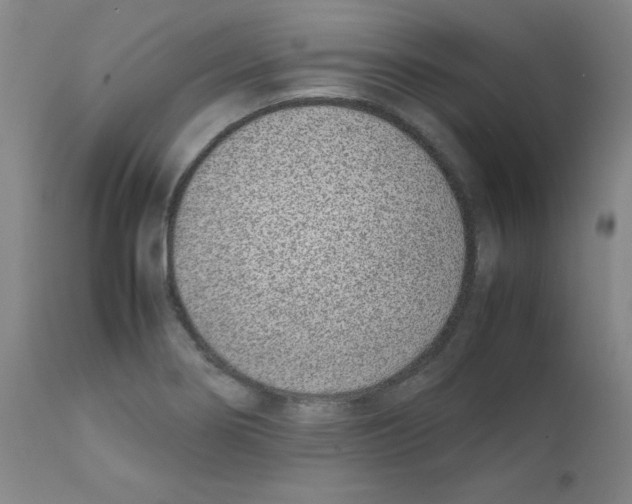 X0000111781274200909031124