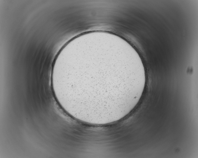 X0000111781276200909031124