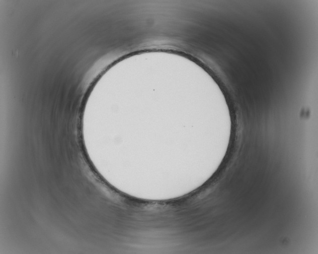 X0000111781277200909031124