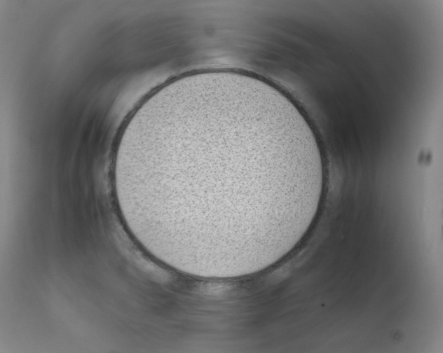 X0000111781278200909031124