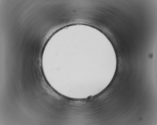 X0000111781280200909031124