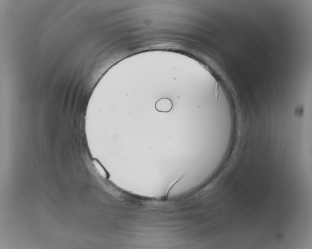 X0000111781281200909031124