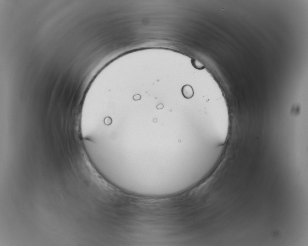 X0000111781284200909031124