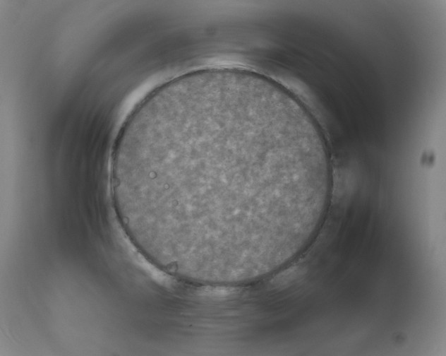 X0000111781286200909031124