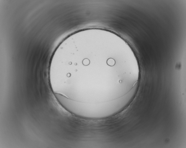 X0000111781288200909031124