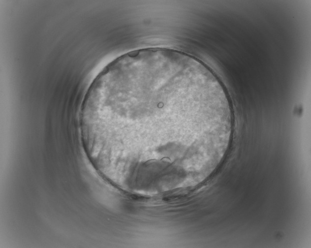 X0000111781291200909031124