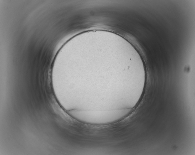 X0000111781292200909031124