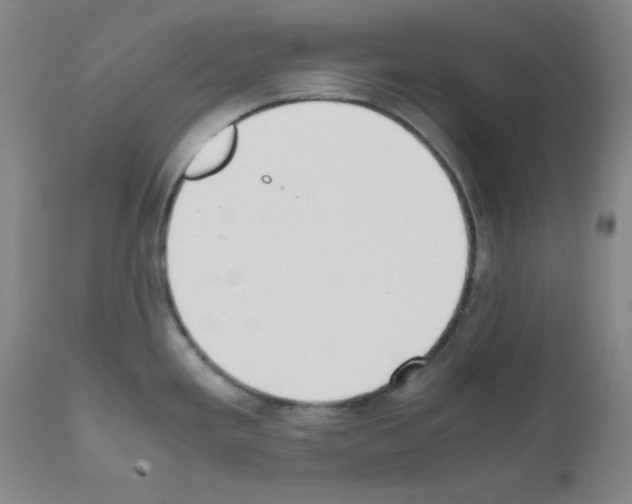 X0000111781293200909031124
