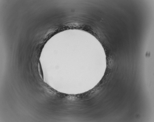 X0000111781297200909031123
