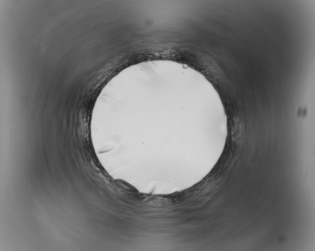 X0000111781298200909031123