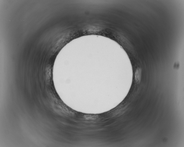 X0000111781299200909031123