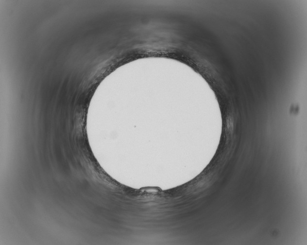 X0000111781300200909031123