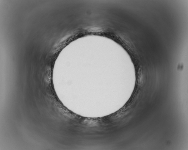 X0000111781301200909031123