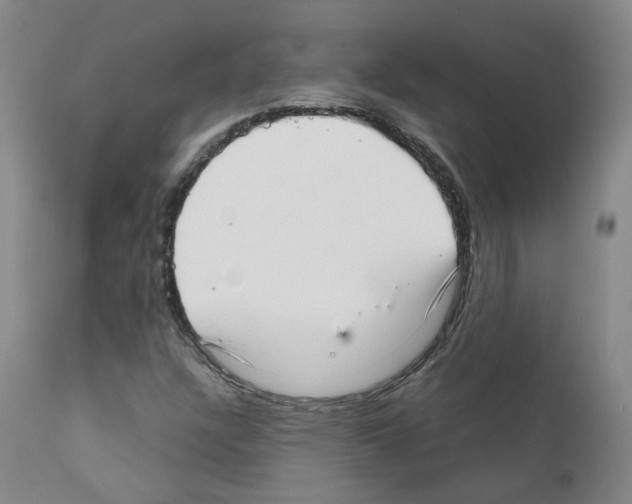 X0000111781304200909031123