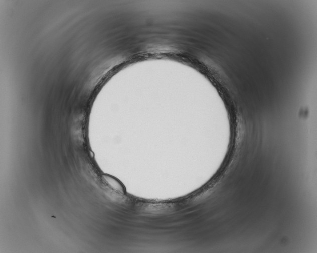 X0000111781305200909031123