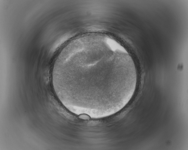 X0000111781306200909031123