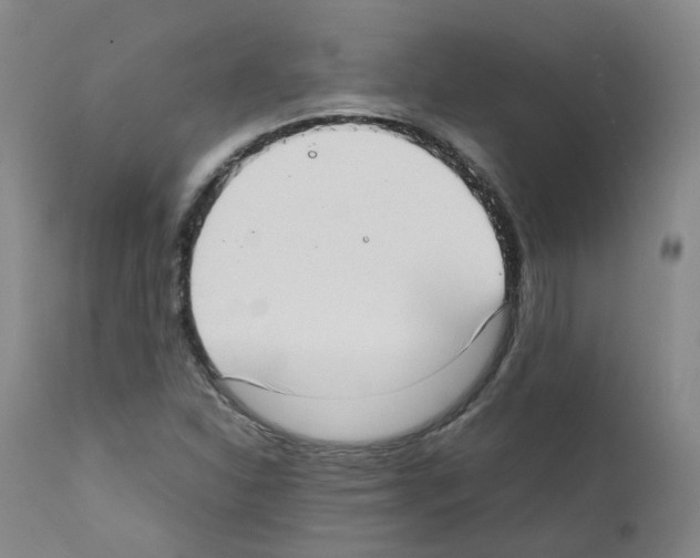 X0000111781310200909031123