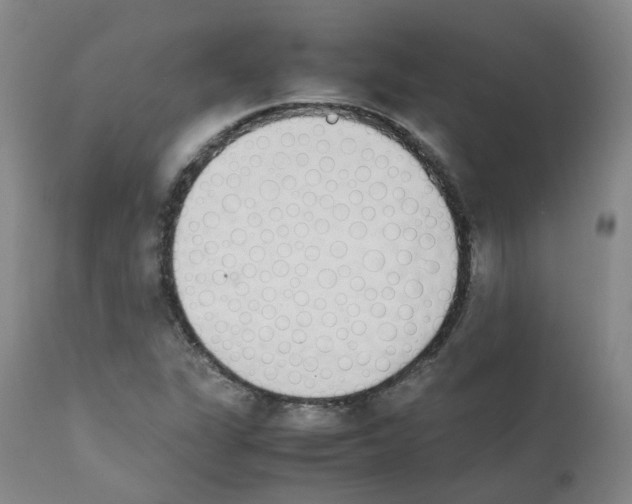X0000111781311200909031123