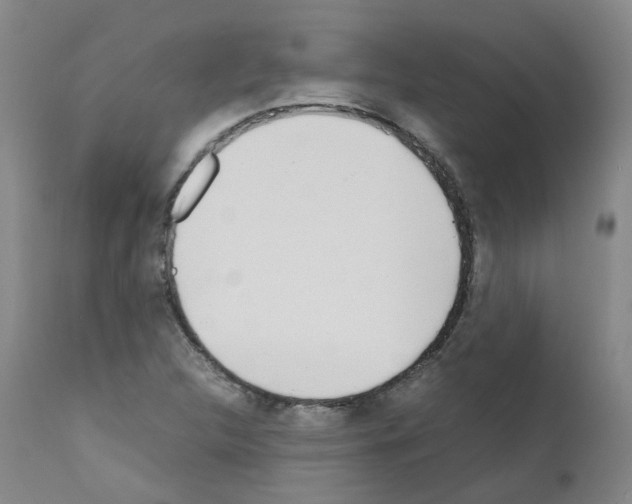 X0000111781312200909031123