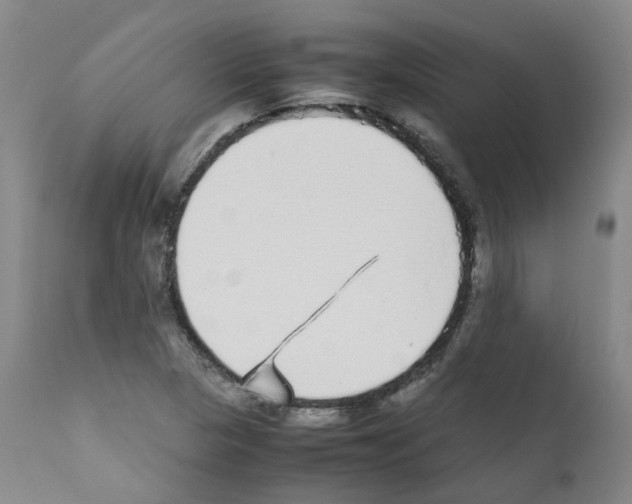 X0000111781313200909031123