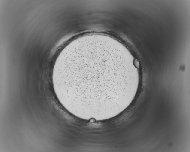 X0000111781315200909031123