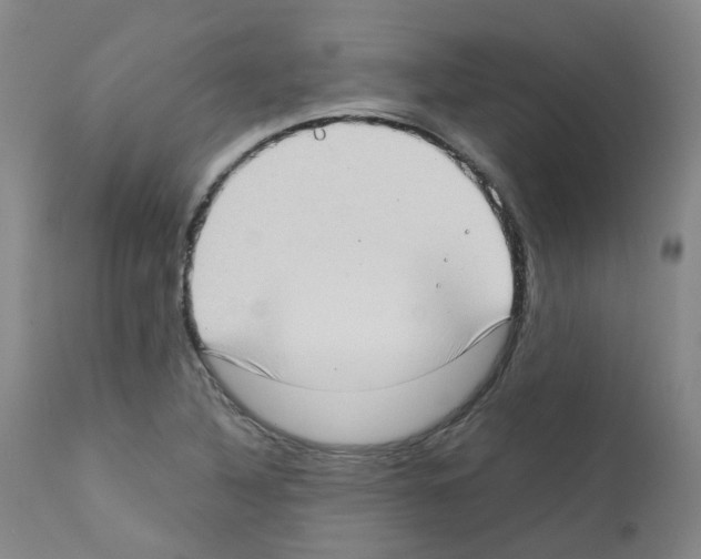 X0000111781316200909031123