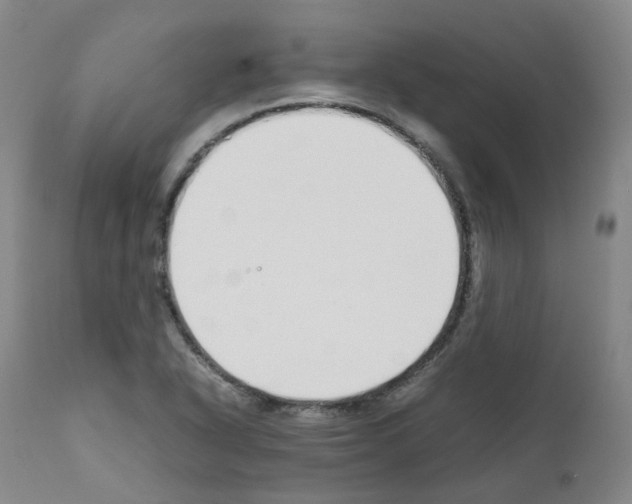 X0000111781318200909031123