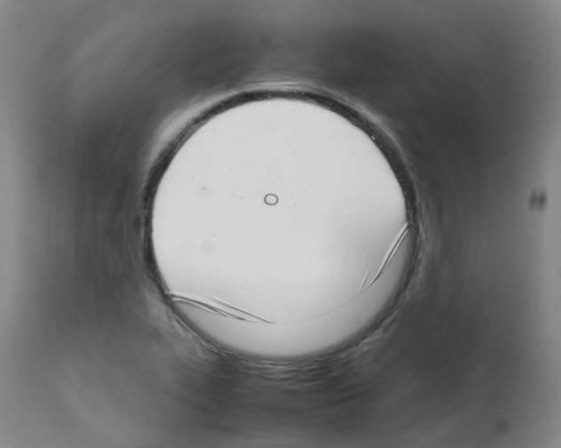 X0000111781319200909031123