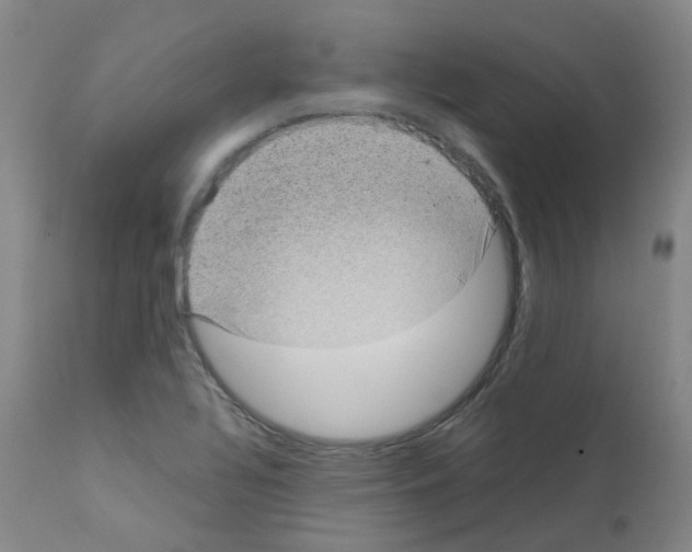 X0000111781320200909031123