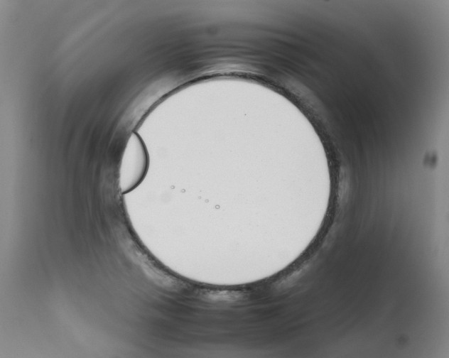 X0000111781321200909031123