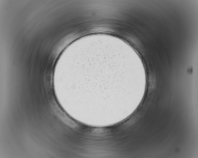 X0000111781322200909031123