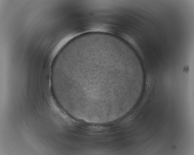 X0000111781323200909031123