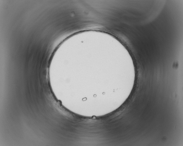 X0000111781324200909031123